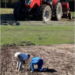 Mansfield Farm & Ag