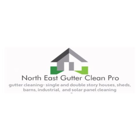 North East Gutter Clean Pro